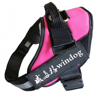 PET chest harness strap